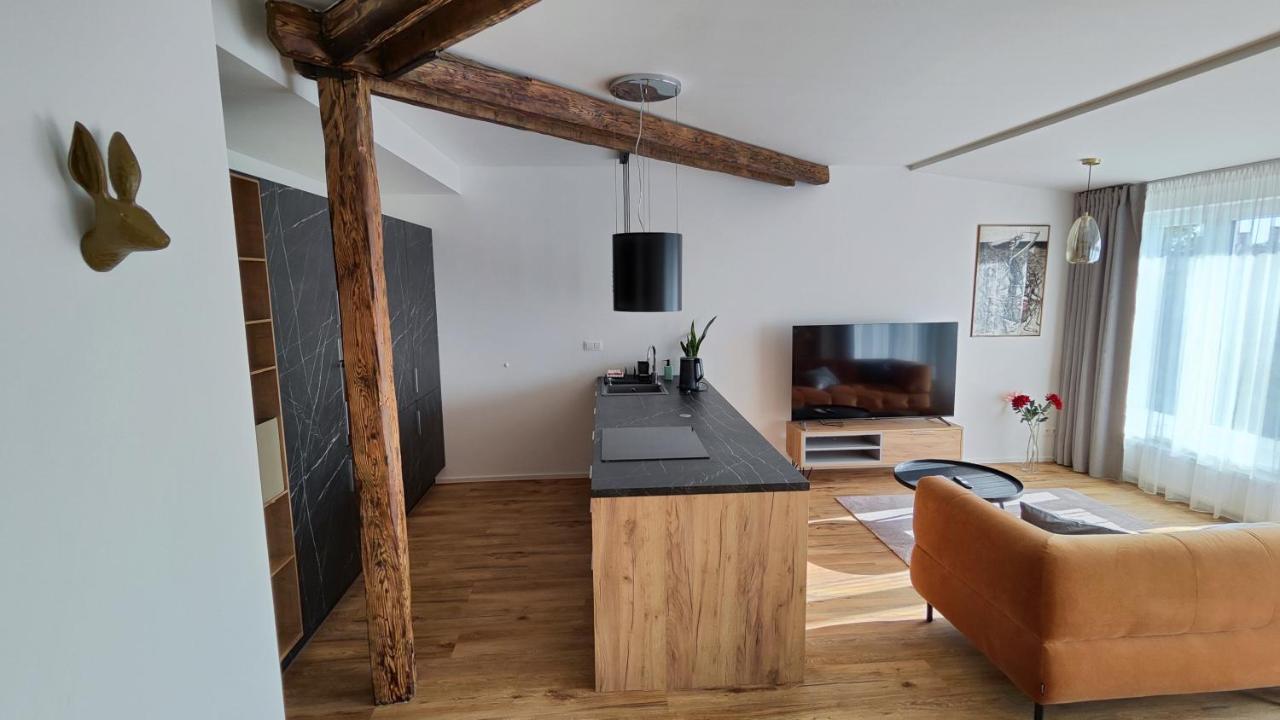 Trenčín Dohnanyi Villa By Chors المظهر الخارجي الصورة